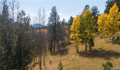 Commercial Property for Sale in Cripple Creek Colorado 80813